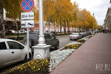 Фото: Синхронизация национальных проектов в Кузбассе на примере городской среды Кемерова 5