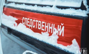 Возбуждено дело после нападения подростка с ножом на учеников школы в подмосковном Одинцово