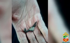 В Кузбассе мужчина торговал наркотиками рядом с железнодорожным вокзалом