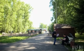 В кемеровском Комсомольском парке второй раз за неделю загорелся тополиный пух