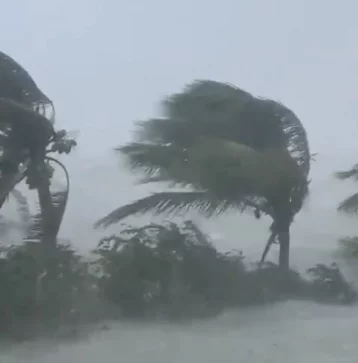 Фото: На Багамах жертвами урагана «Дориан» стали пять человек 1