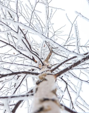 От -21 до +5: синоптики рассказали о погоде на выходные в Кузбассе
