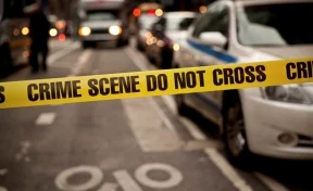 В Нью-Йорке женщина напала на детский сад и порезала детей