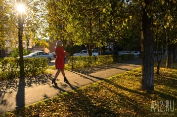 Фото: Синоптики прокомментировали жару до +20 в октябре в Кузбассе 1