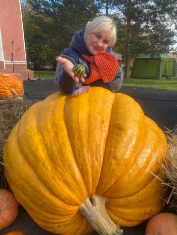 Фото: Выходец из системы. Кто такая Татьяна Акимова, ставшая новым министром культуры и национальной политики Кузбасса 2