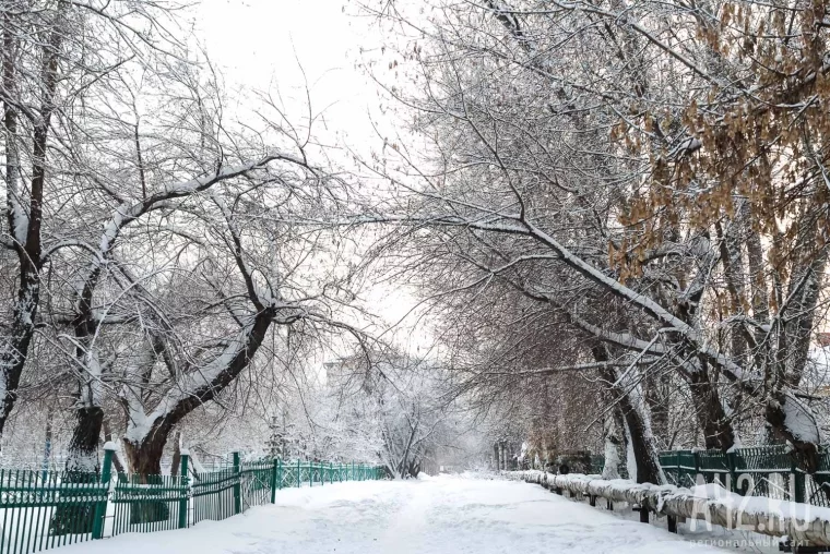 Фото: Когда мороз за тридцать. Как Кемерово превращается в декорации для зимнего спектакля 33
