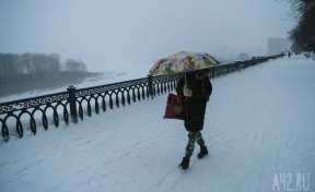 В Кузбассе на выходных потеплеет до +2 градусов