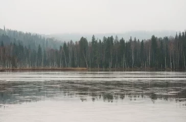 Фото: УК «Кузбассразрезуголь» провела зарыбление верховьев Томи для очистки рек 2