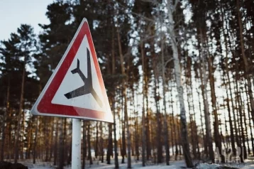 Фото: Выжившие лётчики с разбившегося Ту-22М3 находятся под наблюдением медиков 1