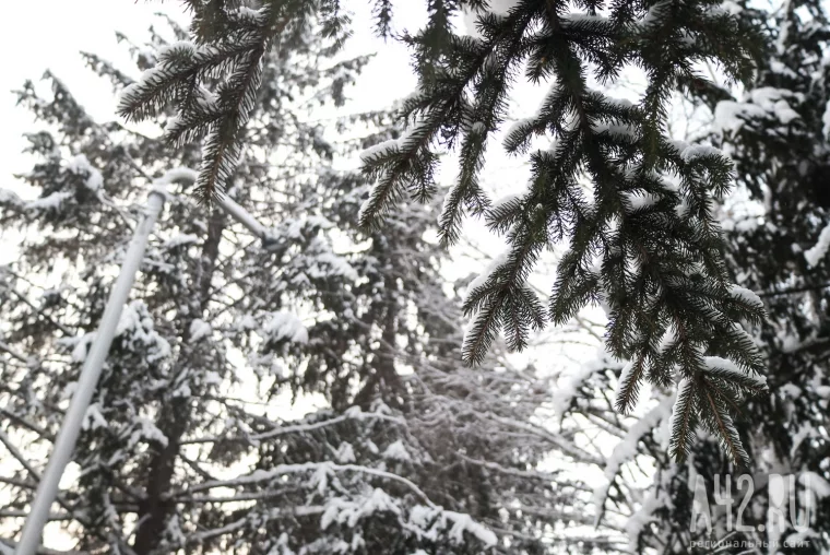 Фото: Когда мороз за тридцать. Как Кемерово превращается в декорации для зимнего спектакля 34