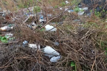 Фото: В Кемерове ликвидировали несанкционированную свалку Октябрьском проспекте 2
