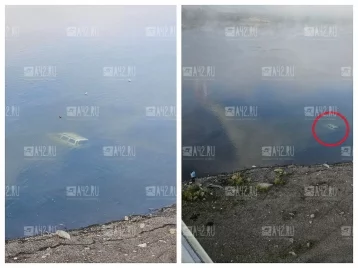 Фото: Соцсети: в Кемерове под Кузнецким мостом затонул автомобиль, внутри обнаружен труп 1
