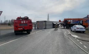 Фура со свиньями перевернулась на трассе в Томской области