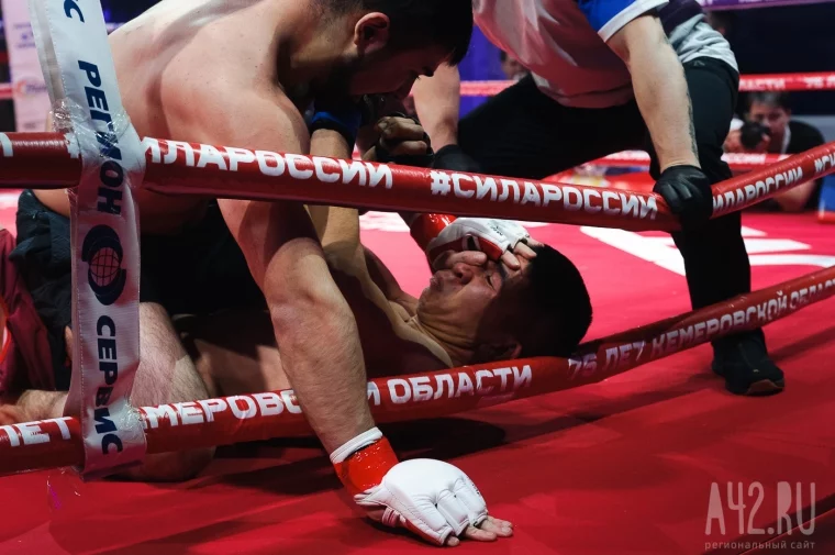 Фото: «Ночной тигр» против чемпиона MMA: как прошёл турнир по единоборству К-9 «Сила России» 3