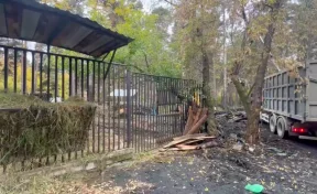 В прокуратуре назвали вероятную причину пожара в Новосибирском зоопарке 