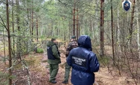 В Нижегородской области школьник пропал без вести в лесу