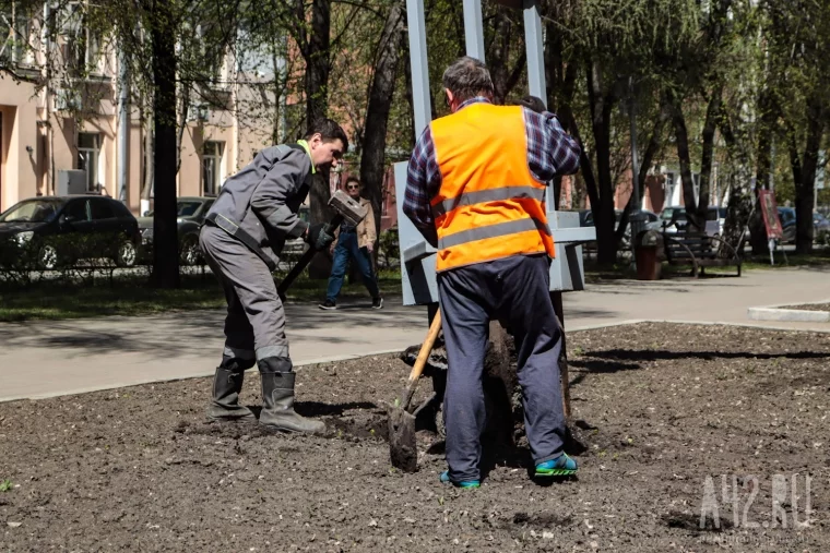 Фото: В Кемерове начали демонтировать старые фонари на Весенней улице 6