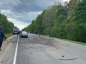 Фото: В ДТП с автобусом в Курской области погибли 2 и пострадали 17 человек 3