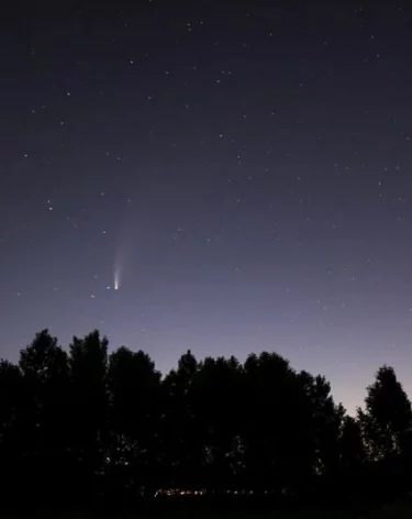 Силы ПВО за три часа сбили 44 БПЛА, из них 30 — в Курской области