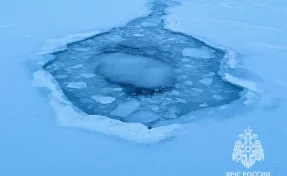 В Нижнем Новгороде рыбак провалился под лёд