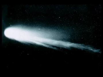 Фото: Учёные: в 2022 году комета Энке уничтожит Землю 1