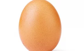 Фотография яйца побила мировой рекорд лайков Instagram