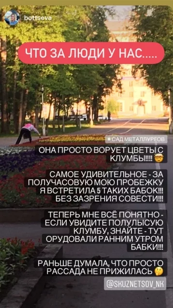 Фото: Мэр Новокузнецка сообщил о ворующих с клумб цветы горожанах 1