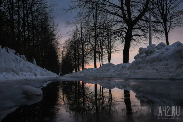 Синоптики: в Кузбассе на неделе потеплеет до +13 и пойдёт дождь
