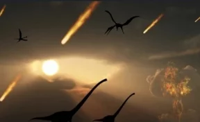 Учёные подробно описали последний день существования динозавров