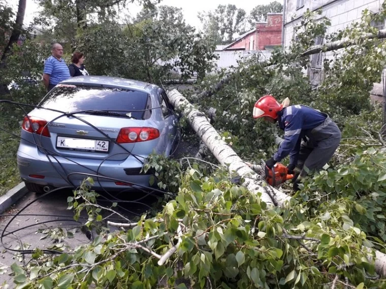 Фото: Во время урагана в Кузбассе дерево упало на дом, провода и перекрыло проезд 2