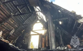 В Ленинградской области женщина задохнулась во время пожара