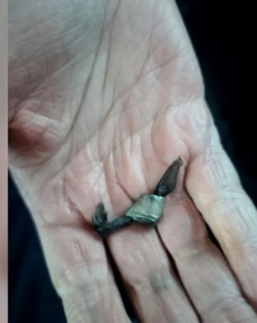 Фото, видео: <a href=https://t.me/utsibfo/8190>УТ МВД России по СФО</a> / Телеграм