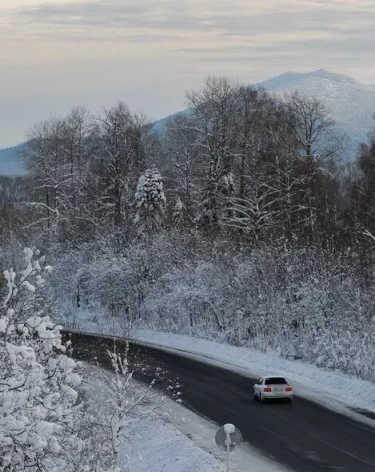 В Алтайском крае на трассе загорелся автобус с пассажирами