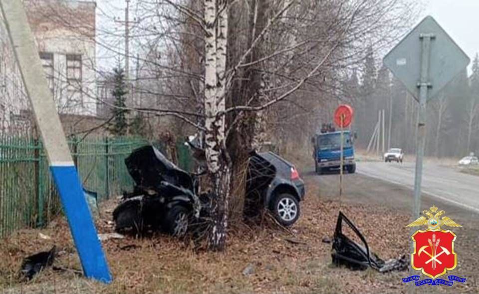 В Кузбассе иномарка влетела в дерево, водитель погиб, пострадал в том числе ребёнок