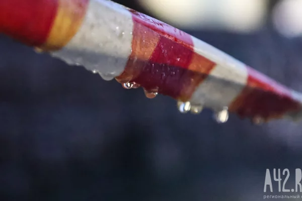 Соцсети: в Новокузнецке из-за угрозы минирования эвакуировали три школы