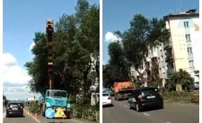 Кемеровчане обеспокоены массовой опиловкой деревьев на улице Тухачевского
