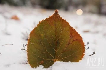 Фото: Синоптик Тишковец рассказал о погоде в России осенью и зимой 1