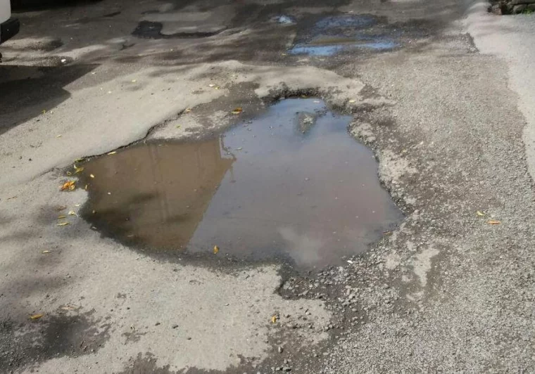 Фото: Вонь-атака и люди-свиньи: чем были возмущены кемеровчане в 2017 году 7