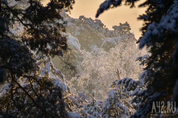 День Анисьи Зимней: приметы на 12 января
