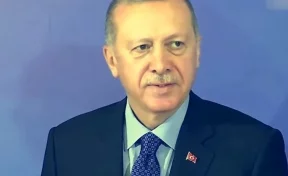 Президент Турции предупредил о готовности нанести «ещё более мощный удар» по Сирии