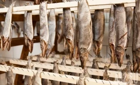 В России зафиксировано подорожание колбас, рыбы, кальмаров и детского питания 