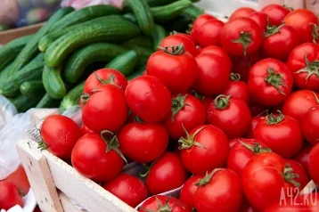 Фото: Уроженка Кемерова Елена Малышева рассказала, как помидоры могут уберечь от рака и сохранить зрение 1