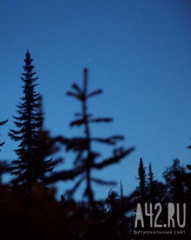 Фото: A42.RU