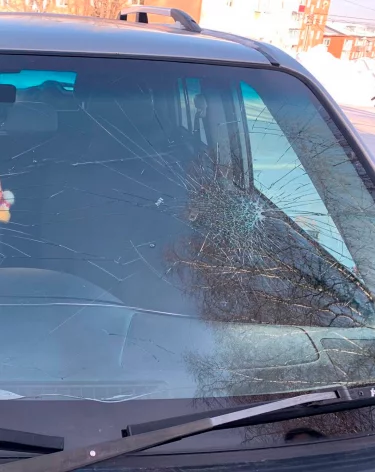 Фото: Управление Росгвардии по Кемеровской области