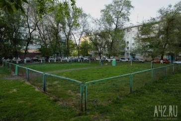 Фото: Собачья радость: тест площадок для выгула животных в Кемерове  9