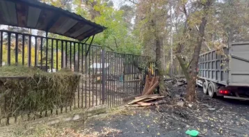 Фото: В прокуратуре назвали вероятную причину пожара в Новосибирском зоопарке  1