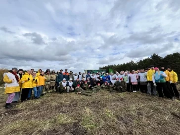 Фото: В Кузбассе на месте леса, пострадавшего от союзного короеда, высадили почти 5 000 сеянцев кедра 2