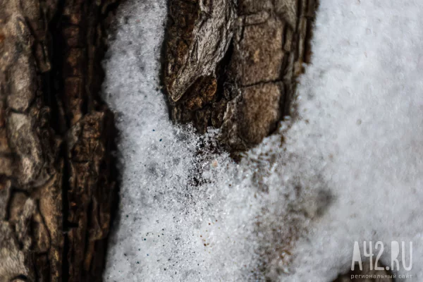 Савин день: приметы на 29 марта 