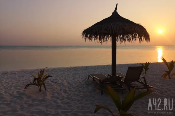 Шри-Ланка начала переговоры с РФ о поставках нефтепродуктов на фоне топливного кризиса