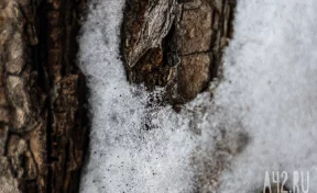 Савин день: приметы на 29 марта 